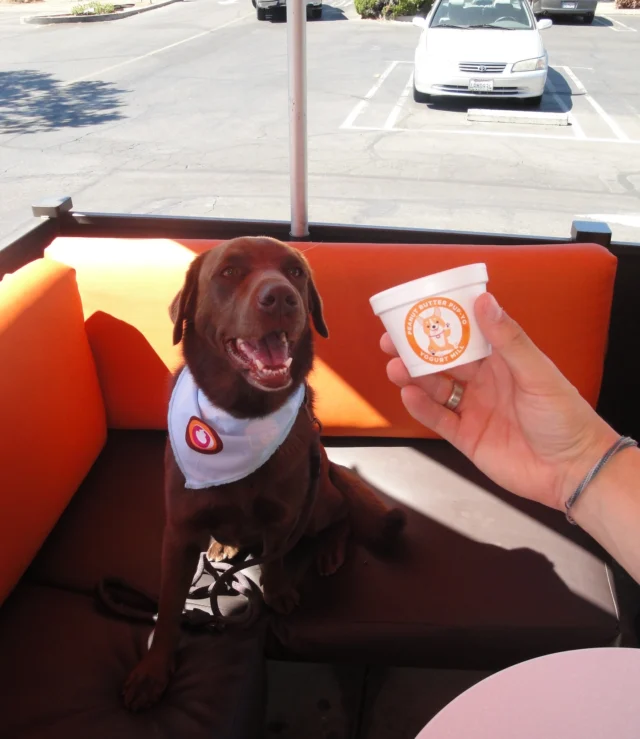 pups love pup-yo ✨🦴

Treat your pup while also giving back! A  portion of each cup goes to @pupznpalz_official to help pups in need!