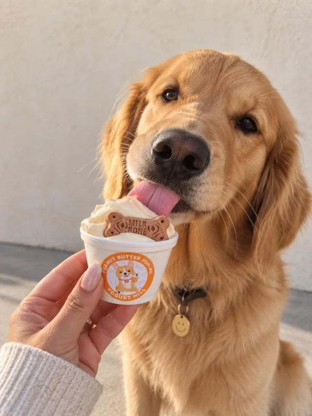 Pup-approved and tail-wagging good. 🐾🍦